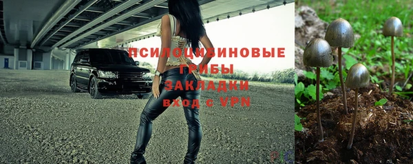 СК Арсеньев