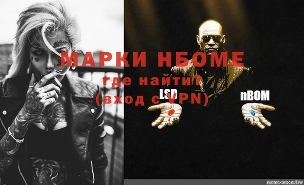 хмурый Нея