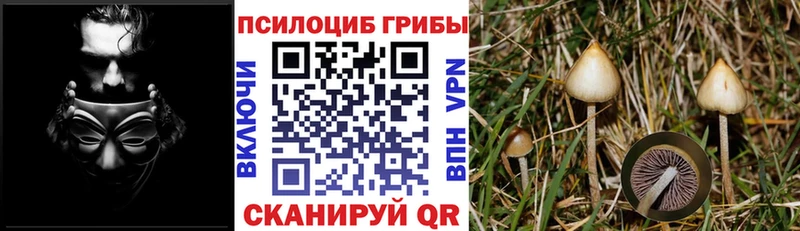 Псилоцибиновые грибы MAGIC MUSHROOMS  Октябрьск 